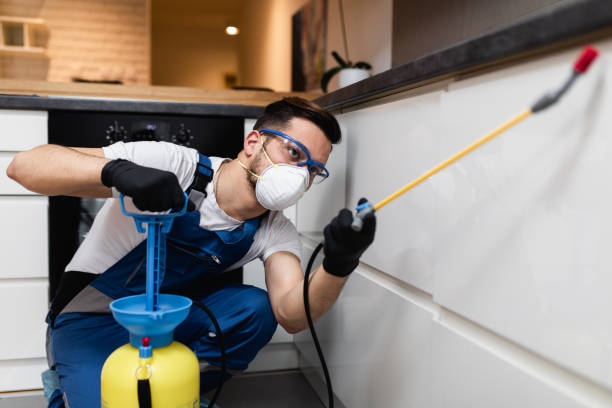 Best Local Pest Control Services  in Meraux, LA