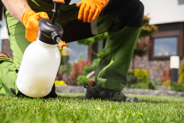 Best Affordable Pest Control Services  in Meraux, LA